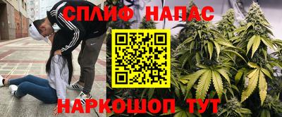 кокс Будённовск